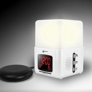 WAKE N SHAKE LIGHT.jpg