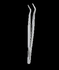 D160.jpg
